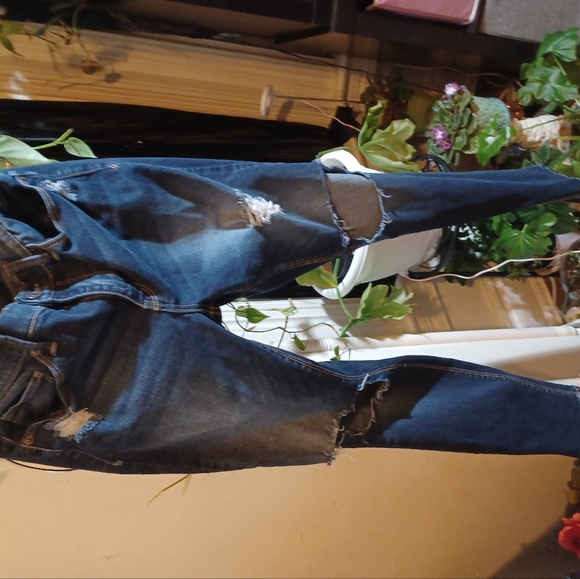 MUD 11 Distressed Jean's EUC - Picture 2 of 7